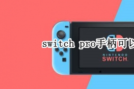 switch proֱ